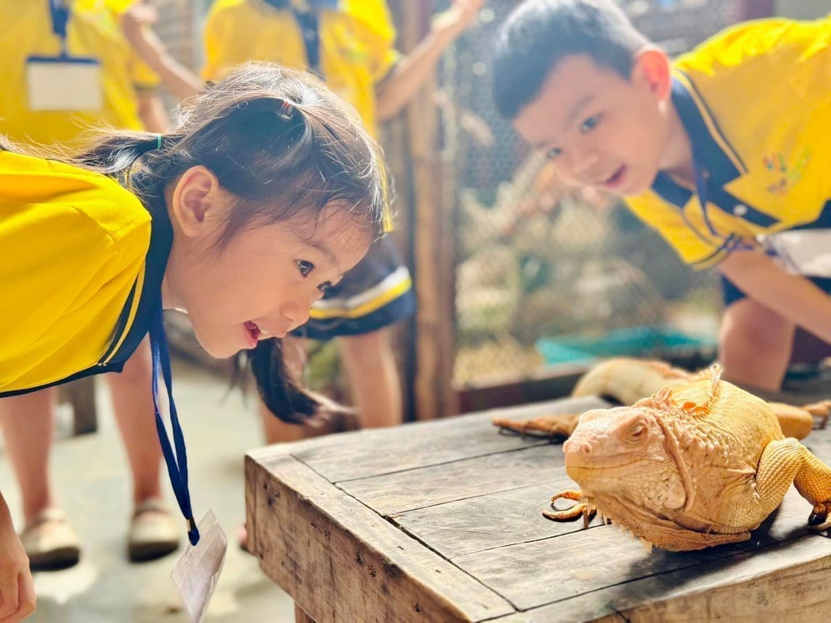 Giờ mỹ thuật sáng tạo của các bé